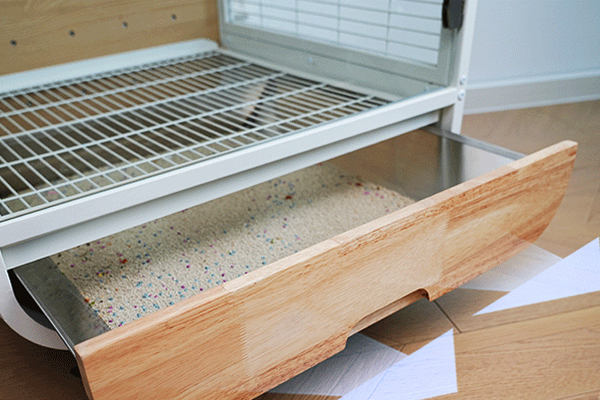 <strong>Safety &amp; Welfare</strong>