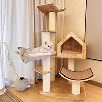 United States – Retailer