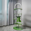 Bower Series Premium Cat Tree with Acrylic Boards