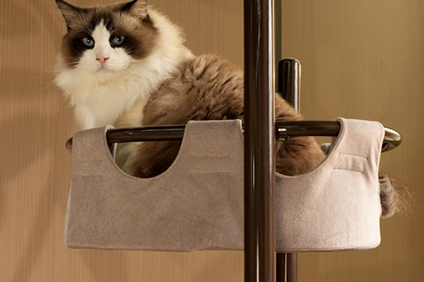 <strong>Modern and Minimalist Aesthetic</strong>