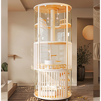 How Luxury Cat Villas Help Multi-Cat Households Live Comfortably