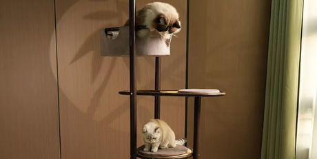 Sleeping-Basket-Premium-Cat-Tree-with-Carbon-Steel-Frame02_529_265.jpg