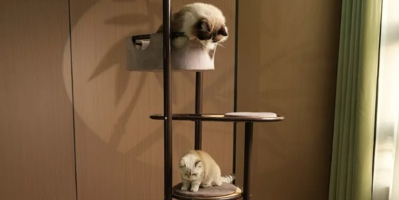 Why Designer Cat Trees Are Becoming A High-Margin Product for Pet Stores
