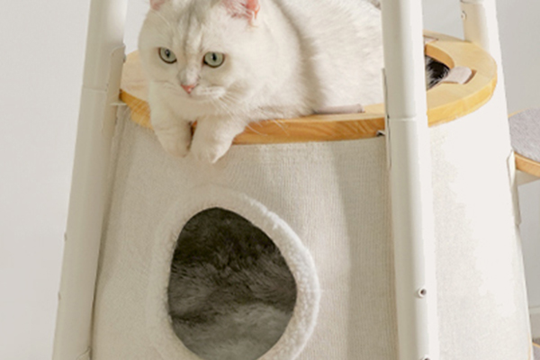 <strong>Sturdy and Stable Structure</strong>