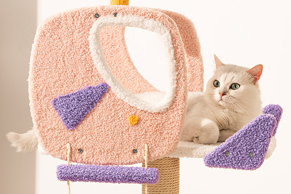 <strong>Comfortable Resting Surfaces</strong>