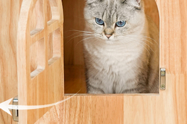 <strong>Design &amp; Functionality</strong>