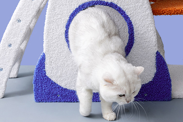 <strong>Comfortable and Safe Resting Spaces</strong>