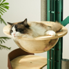 Cactus Premium Cat Tree with Hemp Rope and Rubber Wood
