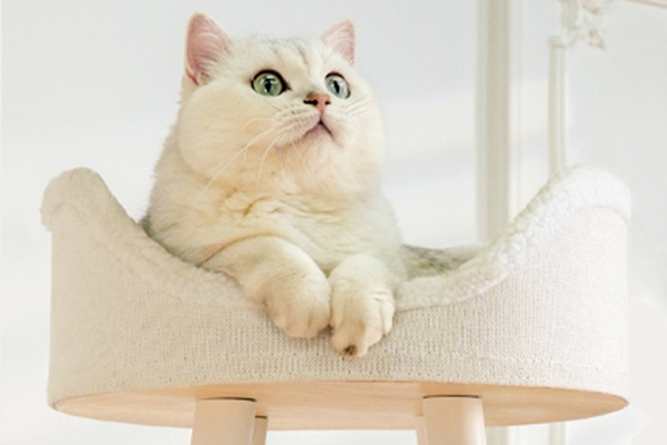 <strong>Modern Aesthetic</strong>