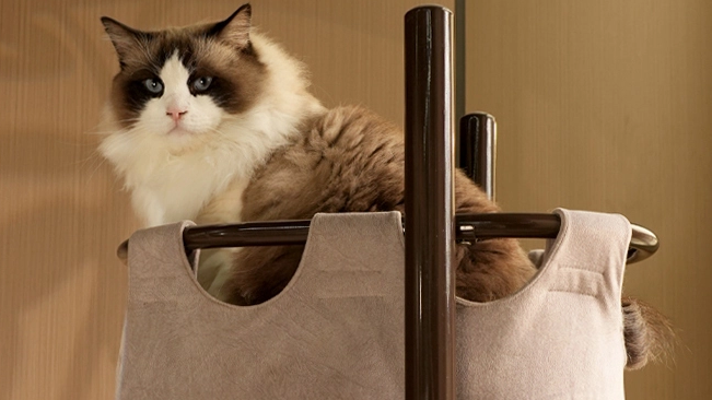 What Should Buyers Check When Approving a Custom Cat Tree Sample?