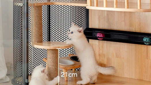 Why Luxury Multi-Level Cat Villas Are Growing In Demand