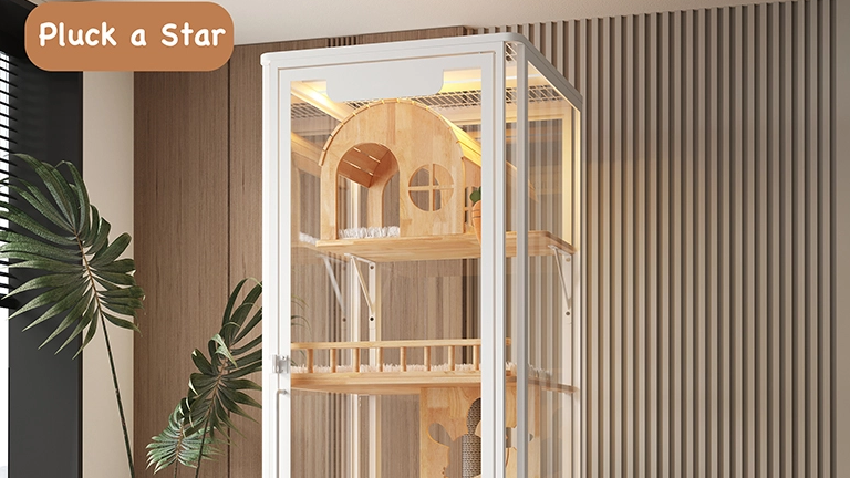 Custom Luxury Cat Villas: Materials, Sizes And Features